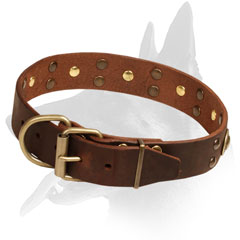 Leather Collar Belgian Malinois with Brass Hardware