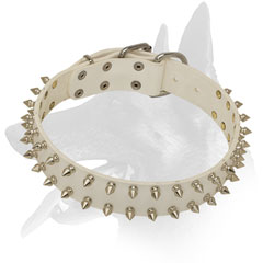 Belgian Malinois White Leather Collar Spiked Design