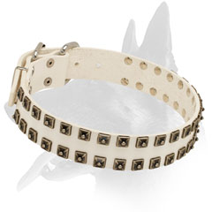 Belgian Malinois Leather Collar Studded Decor