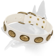 Belgian Malinois Leather Collar With Plates Decoration