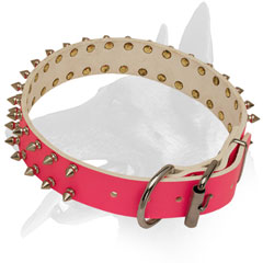 Leather Belgian Malinois Collar With Spiked Decoration
