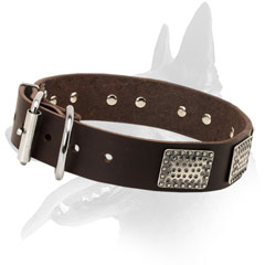 Belgian Malinois Leather Dog Collar With D-ring