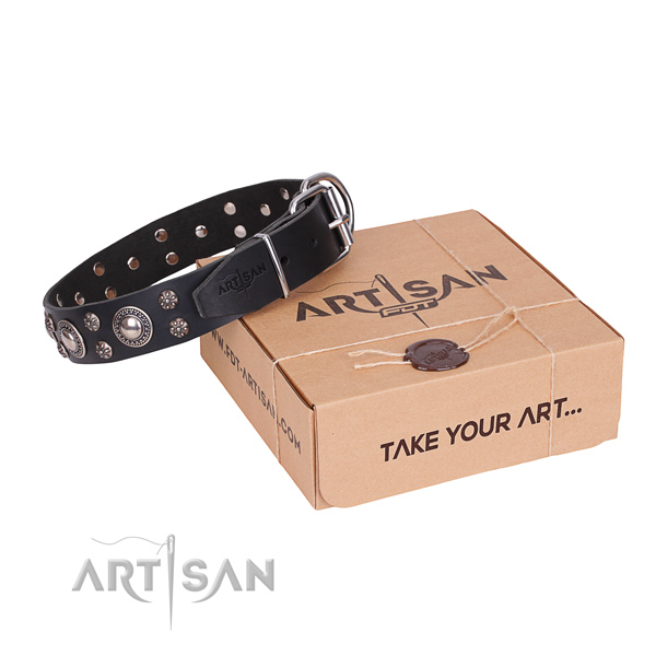 Casual style leather dog collar with elegant studs