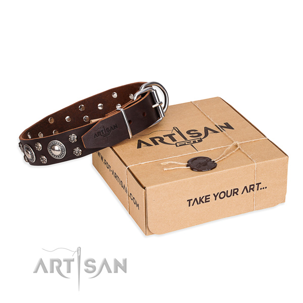 Casual style leather dog collar with remarkable decorations