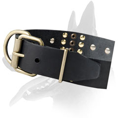 Briilant Malinois Leather Collar with Metal Decorations