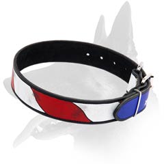 Hand  painted Leather Collar