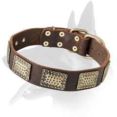 Briilant Malinois Leather Collar with Metal Decorations