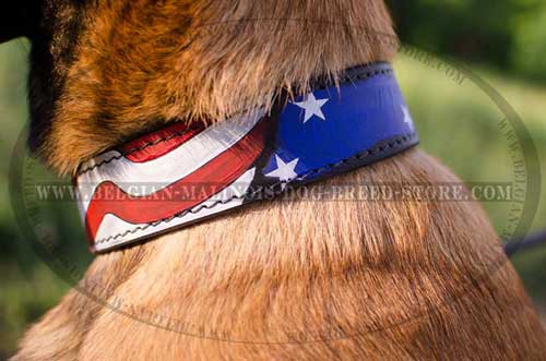 Handcrafted Belgian Malinois Leather Collar