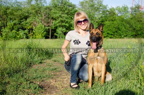 Magnificent Malinois Leather Collar