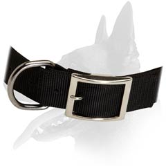 Nylon Collar with buckle