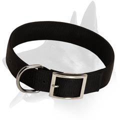 2 Ply Nylon Collar