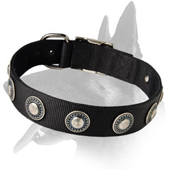 Extra Light Belgian Malinois Nylon Collar