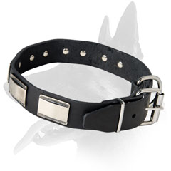 Splendid Malinois Leather Collar With Solid Hardware