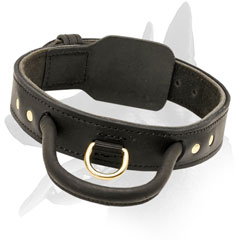 Malinois Leather Collar with Fur Saving Plate