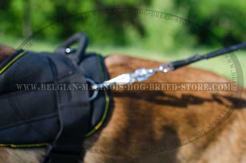 Malinois Nylon Harness With Rustproof Hardware