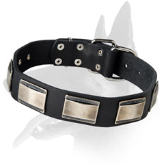 Designer Belgian Malinois Leather Collar