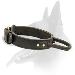Splendid Malinois Leather Collar With Padded Handle