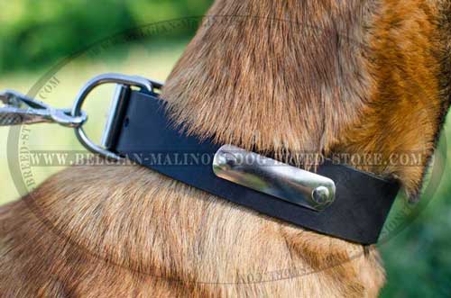  Handy Belgian Malinois Leather Collar