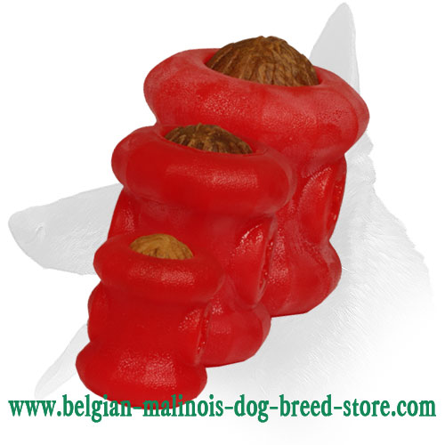 Foam Toy for Training Chewing Skills