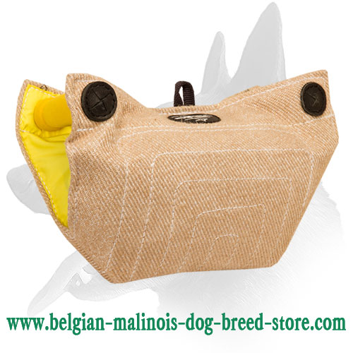 Belgian Malinois Puppy Bite Builder Made of Jute