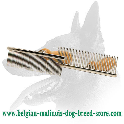 Buy Belgian Malinois Brush