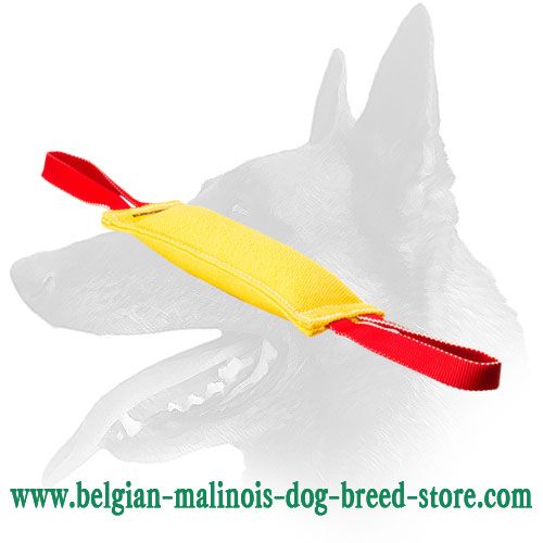 Belgian Malinois tug with 2 handles