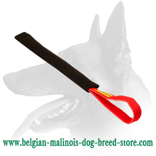Belgian Malinois Bite Tug for Puppy Training
