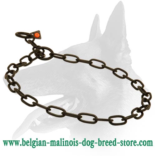 Metal Chain Collar for Belgian Malinois