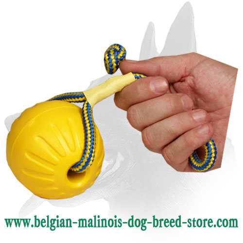 Bright Foam Ball for Belgian Malinois