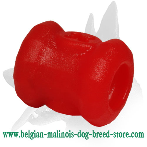 Belgian Malinois Chew Ball for Treat Dispensing