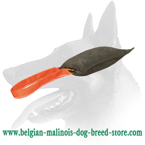 Belgian Malinois Bite Tug with Comfortable Handleg
