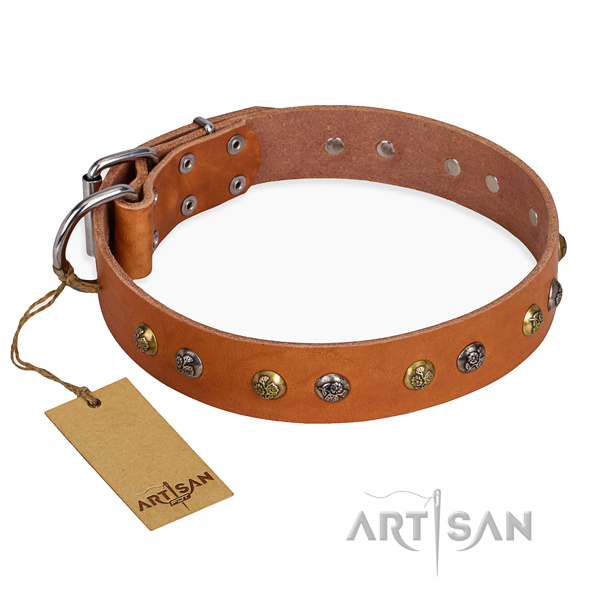 Daily use designer dog collar with durable hardware