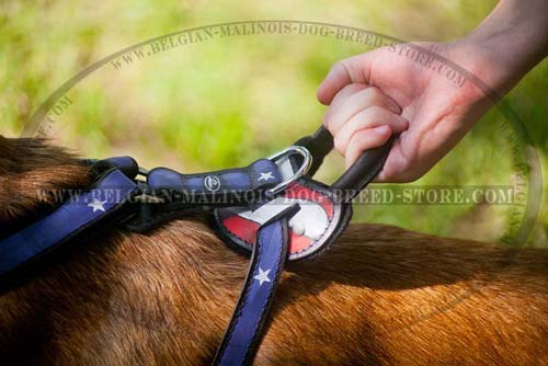 Leather Harness for quick training