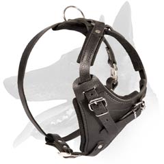 Easy adjustable Leather Harness