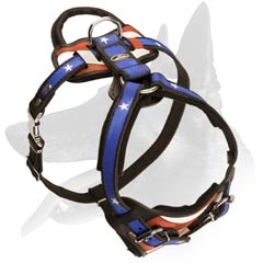 Safe Leather Harness