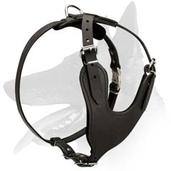 Heavy duty Belgian Malinois Leather Harness