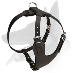 Multipurpose Belgian Malinois Harness