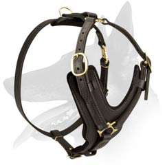 High-quality Malinois Leather Harness