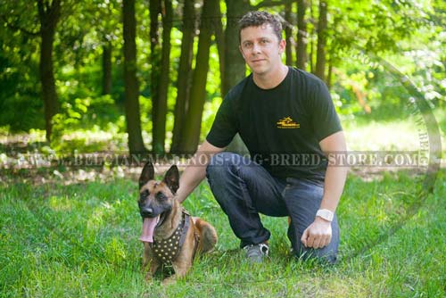 Belgian Malinois wearing Dog Leather Harness