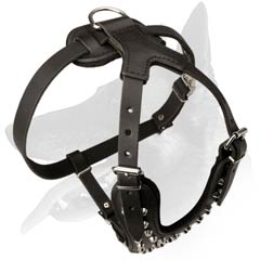 Belgian Malinois Leather Dog Harness with wide chest  plate