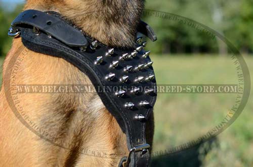 Exclusive Malinois Dog Leather Harness