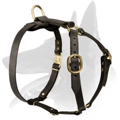 Belgian Malinois Dog Harness with brass hardware