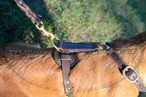 Exclusive Belgian malinois Dog Harness