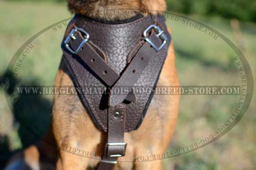 Safe Leather Harness