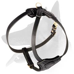 Comfy Leather Harness