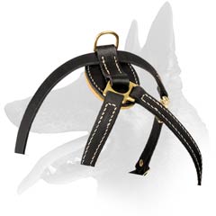Leather Harness with solid fittings