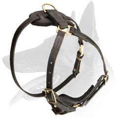 Padded Leather Harness