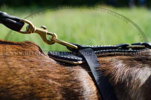 Belgian Malinois Leather Harness with Padded Back Plate