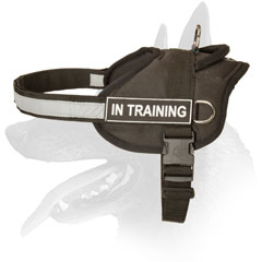 Belgian Malinois harness nylon wide straps