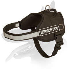 Belgian Malinois harness nylon with easy quick release buckle